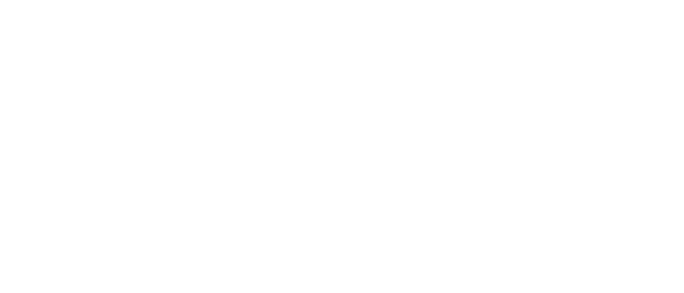 Steadfast Group