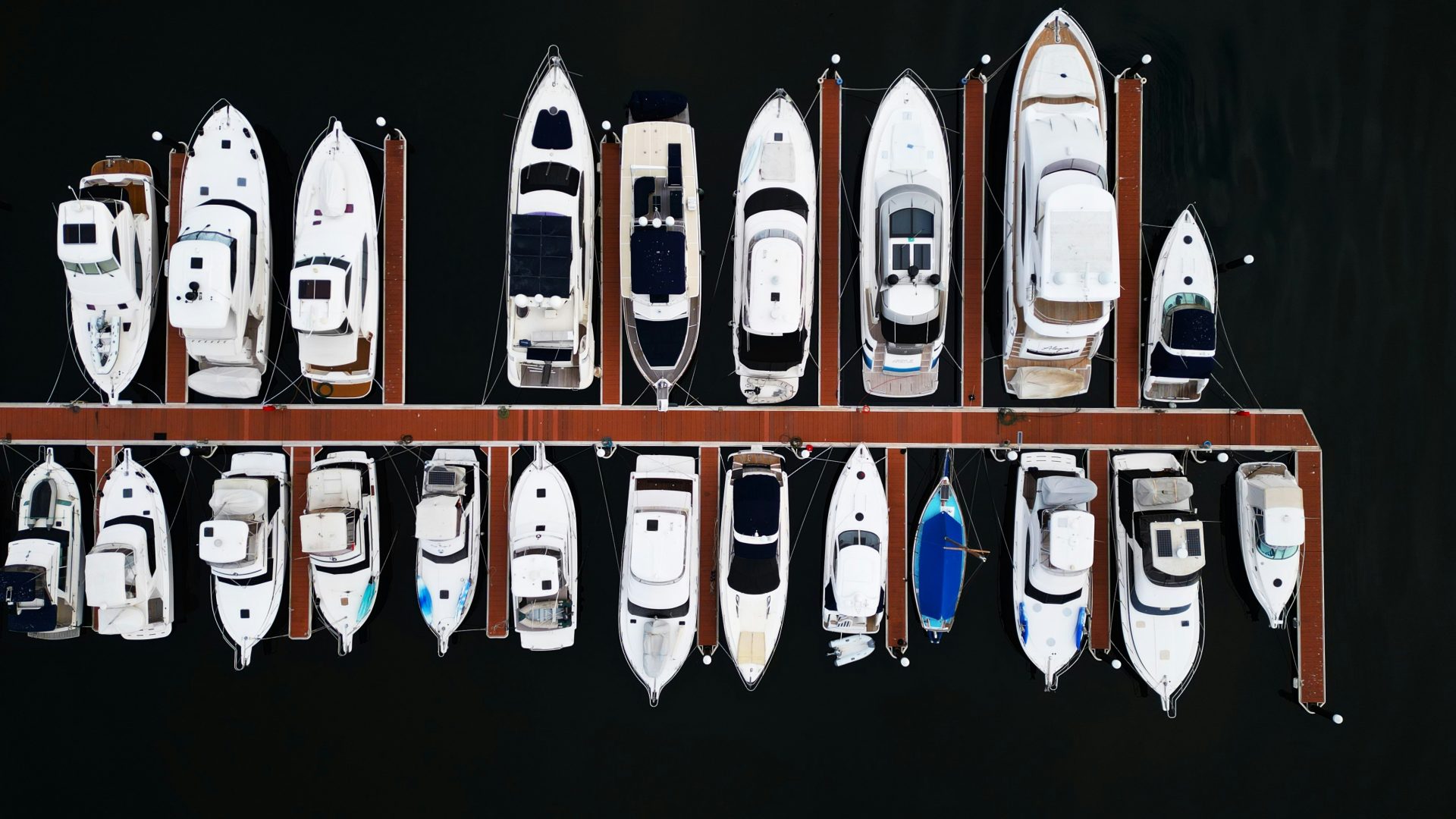 Aerial view of boats moored at a marina